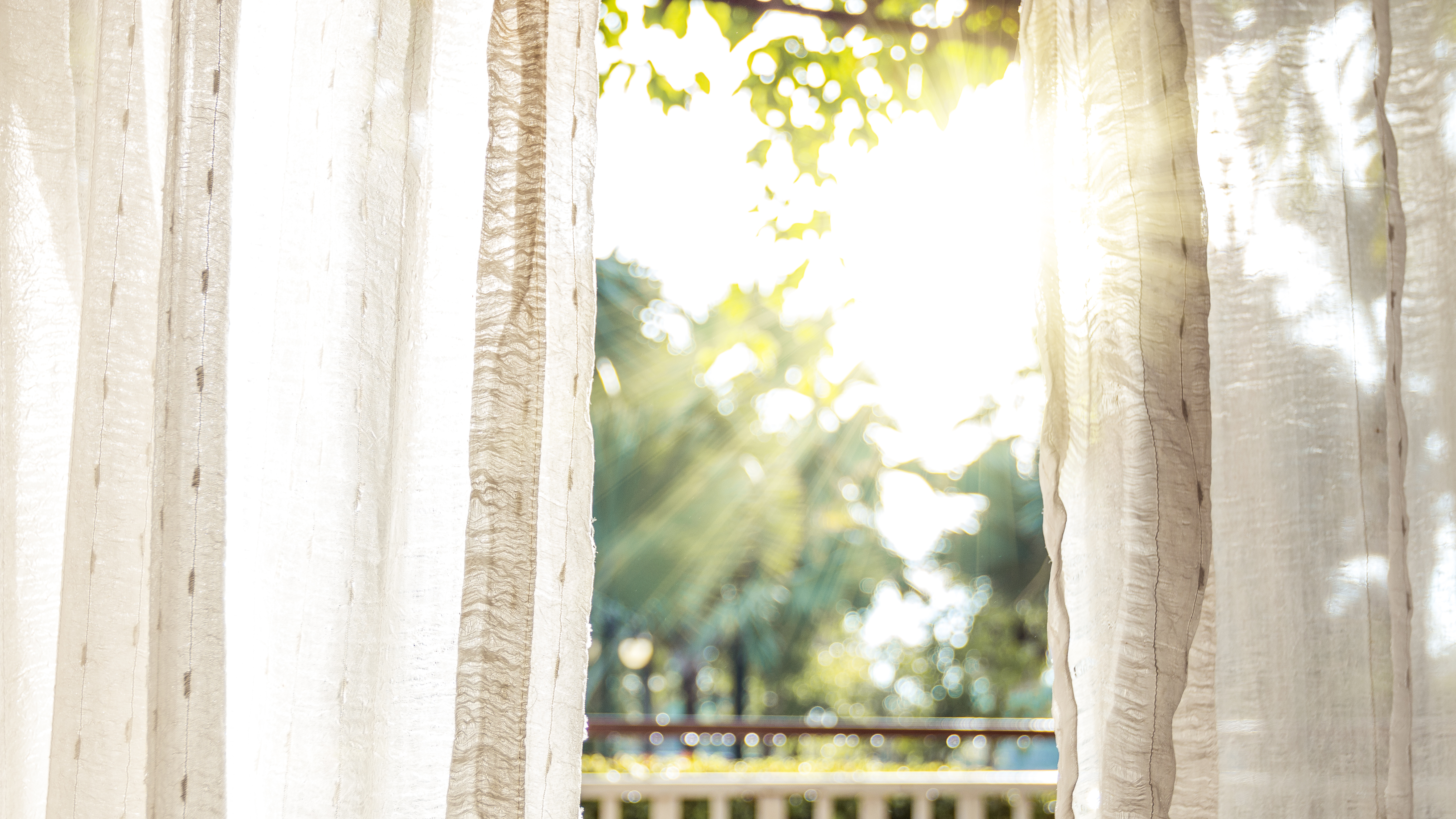Soft morning light falling through white curtains into a still, quiet room, a gentle beginning to the day