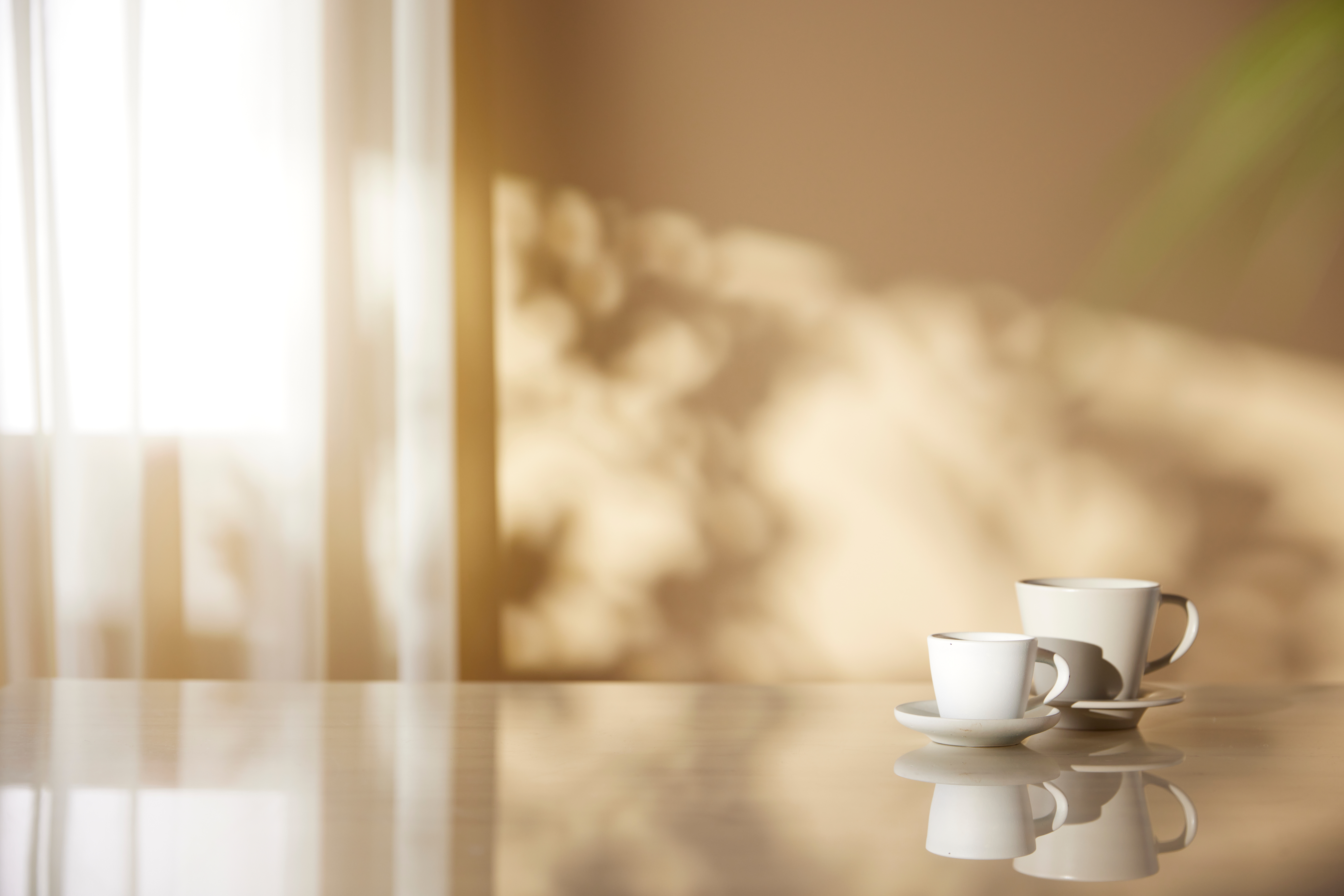 Sunlight streaming softly into a calm, cozy room, home as a quiet shelter after pregnancy loss