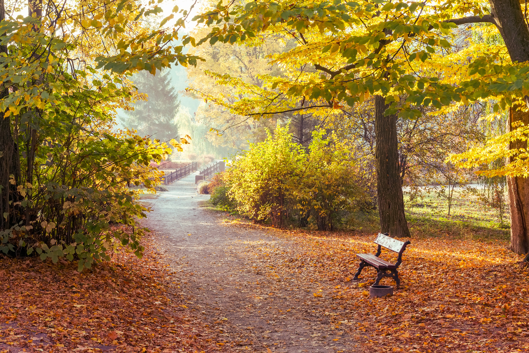 An empty footpath winding through a park in soft autumn light, suggesting the slow walk a mother takes when she goes to spend time near her baby